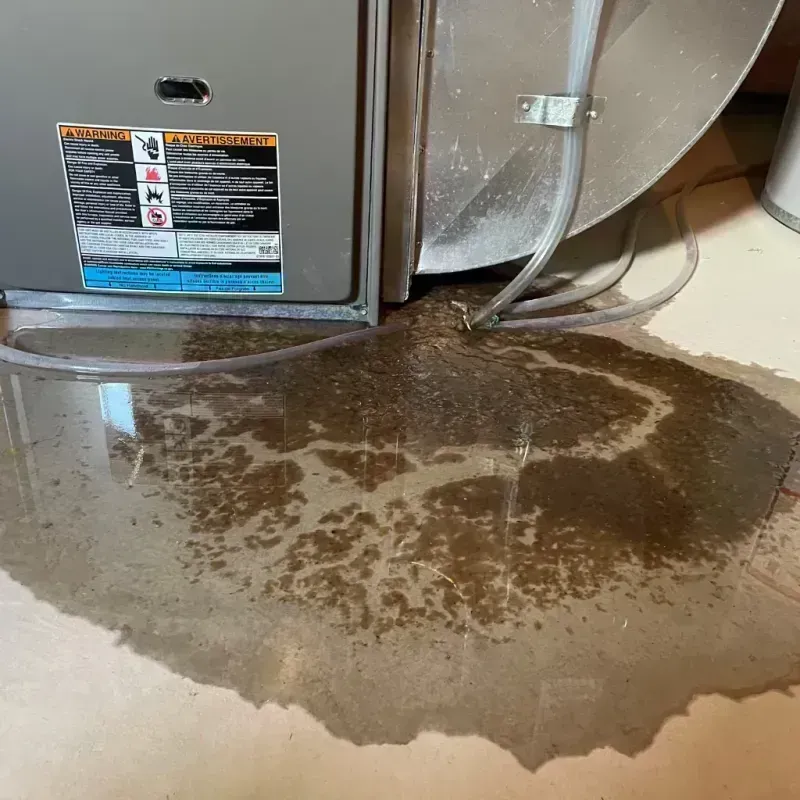 Appliance Leak Cleanup in Lake Wazeecha, WI